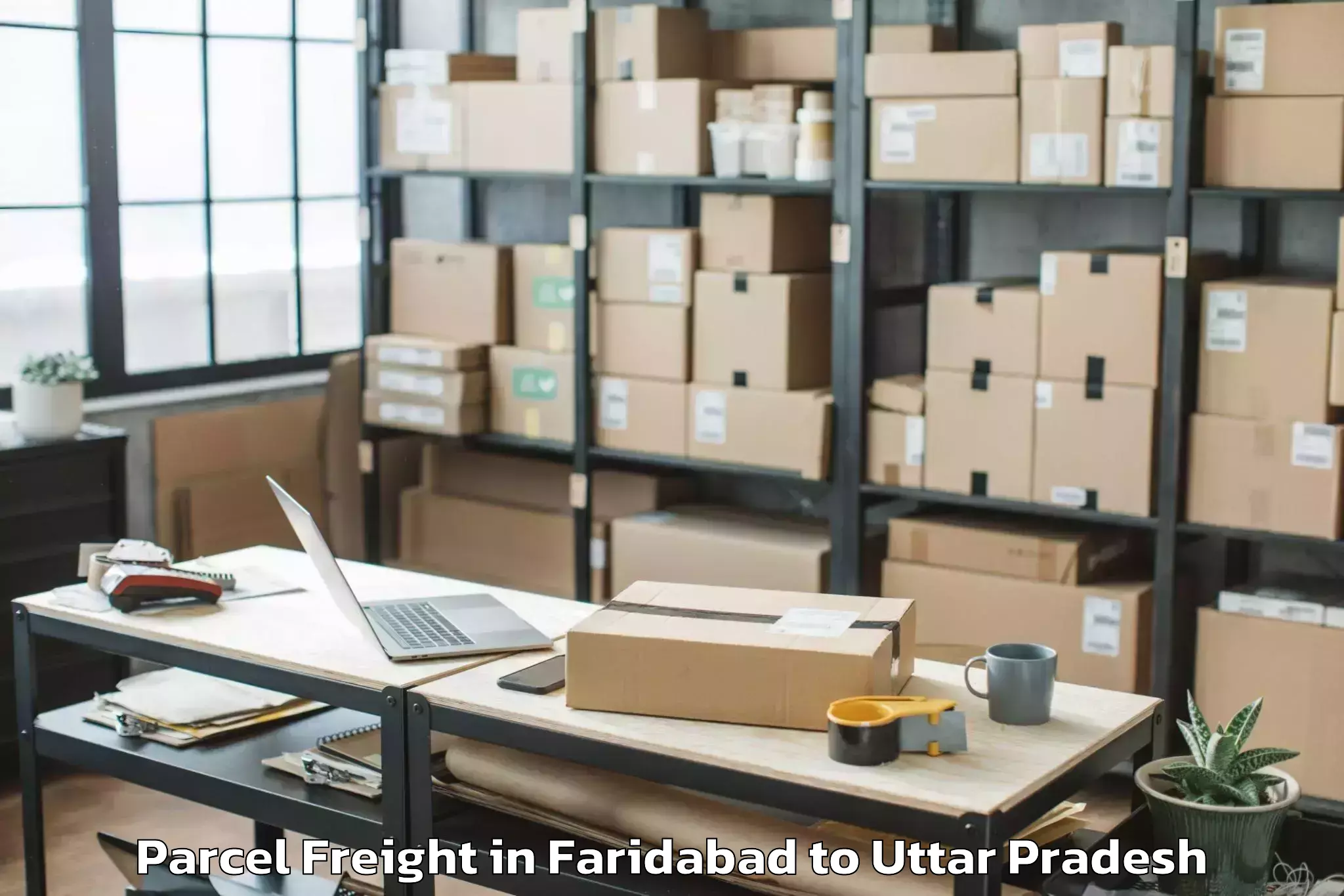 Top Faridabad to Malihabad Parcel Freight Available